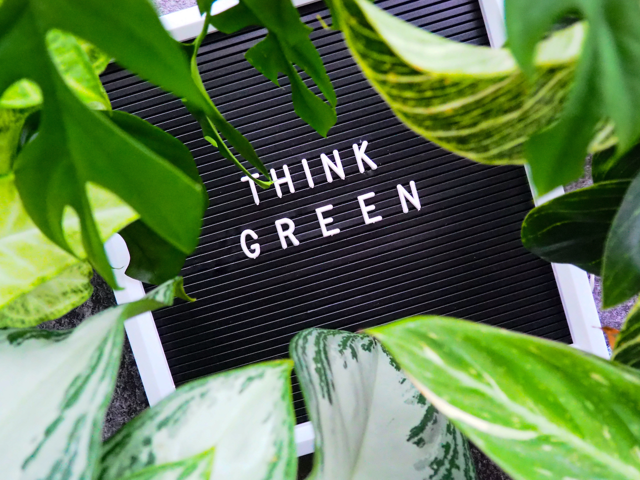 A board with thinking green with plants around it that can be displayed in a workplace management system.